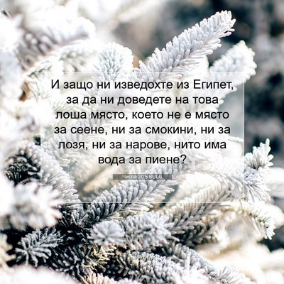 Picture 07 - Числа 20:5 BULG - И защо ни изведохте из - Bible Verse Picture