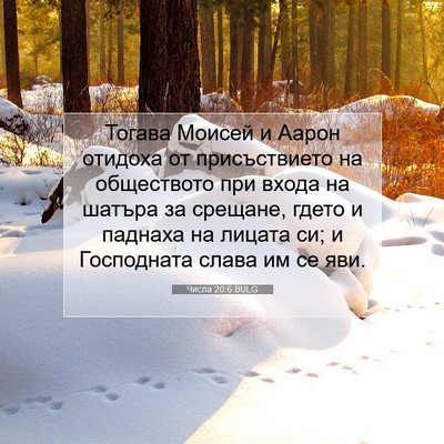 Picture 07 - Числа 20:6 BULG - Тогава Моисей и Аарон - Bible Verse Picture