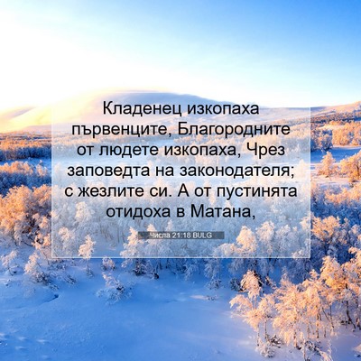 Picture 07 - Числа 21:18 BULG - Кладенец изкопаха - Bible Verse Picture