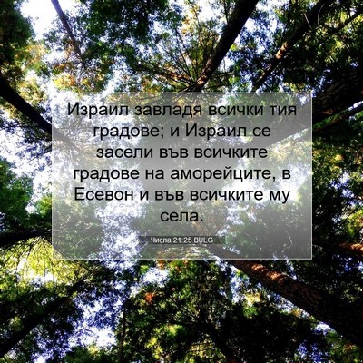 Picture 07 - Числа 21:25 BULG - Израил завладя всички тия - Bible Verse Picture