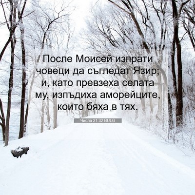 Picture 07 - Числа 21:32 BULG - После Моисей изпрати - Bible Verse Picture