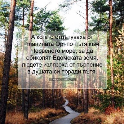Picture 07 - Числа 21:4 BULG - А когато отпътуваха от - Bible Verse Picture