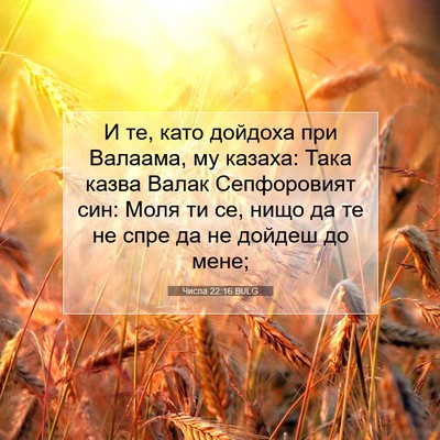 Picture 07 - Числа 22:16 BULG - И те, като дойдоха при - Bible Verse Picture