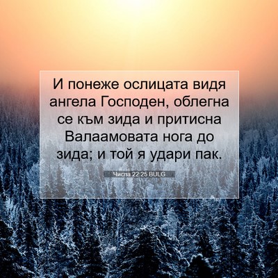 Picture 07 - Числа 22:25 BULG - И понеже ослицата видя - Bible Verse Picture