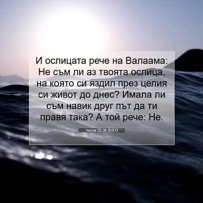 Picture 07 - Числа 22:30 BULG - И ослицата рече на Валаама: - Bible Verse Picture