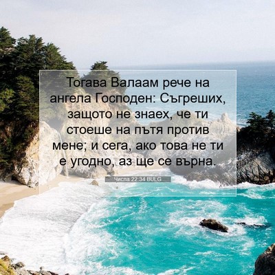 Picture 07 - Числа 22:34 BULG - Тогава Валаам рече на - Bible Verse Picture