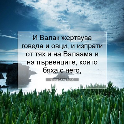 Picture 07 - Числа 22:40 BULG - И Валак жертвува говеда и - Bible Verse Picture