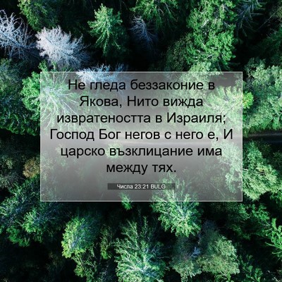 Picture 07 - Числа 23:21 BULG - Не гледа беззаконие в - Bible Verse Picture