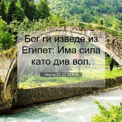 Picture 07 - Числа 23:22 BULG - Бог ги изведе из Египет: - Bible Verse Picture