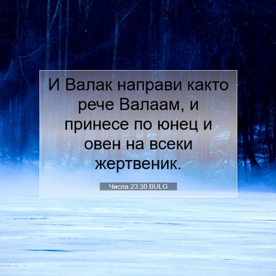 Picture 07 - Числа 23:30 BULG - И Валак направи както рече - Bible Verse Picture