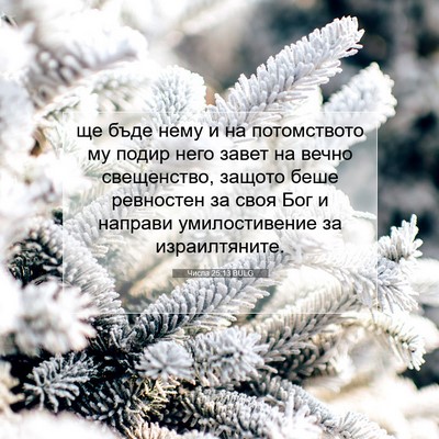 Picture 07 - Числа 25:13 BULG - ще бъде нему и на - Bible Verse Picture
