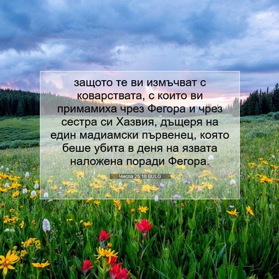 Picture 07 - Числа 25:18 BULG - защото те ви измъчват с - Bible Verse Picture