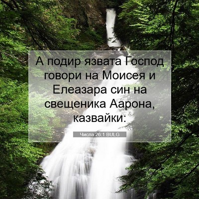Picture 07 - Числа 26:1 BULG - А подир язвата Господ - Bible Verse Picture