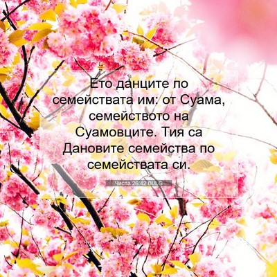 Picture 07 - Числа 26:42 BULG - Ето данците по семействата - Bible Verse Picture