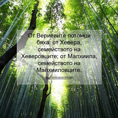 Picture 07 - Числа 26:45 BULG - От Вериевите потомци бяха: - Bible Verse Picture