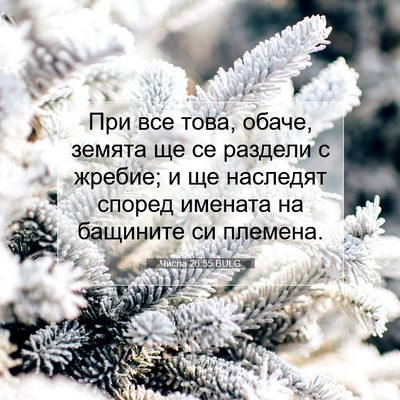 Picture 07 - Числа 26:55 BULG - При все това, обаче, земята - Bible Verse Picture