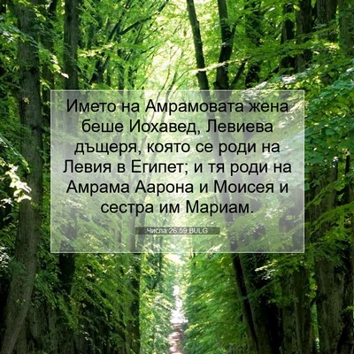 Picture 07 - Числа 26:59 BULG - Името на Амрамовата жена - Bible Verse Picture