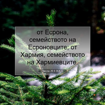 Picture 07 - Числа 26:6 BULG - от Есрона, семейството на - Bible Verse Picture