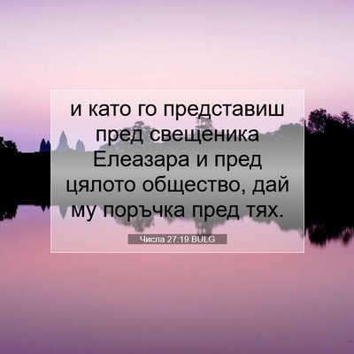 Picture 07 - Числа 27:19 BULG - и като го представиш пред - Bible Verse Picture