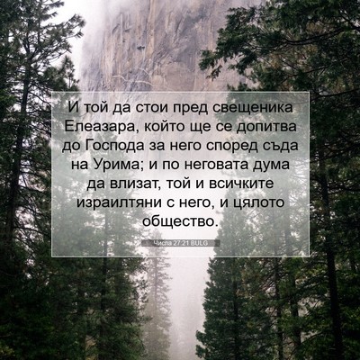 Picture 07 - Числа 27:21 BULG - И той да стои пред - Bible Verse Picture