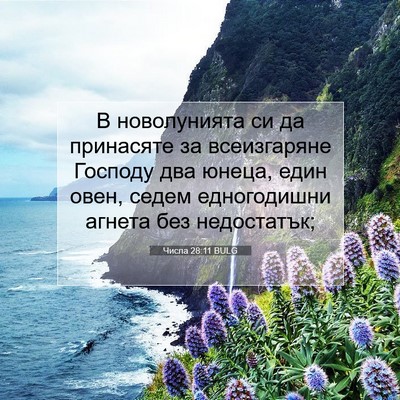 Picture 07 - Числа 28:11 BULG - В новолунията си да - Bible Verse Picture