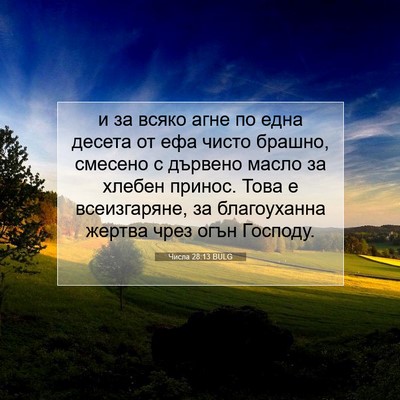 Picture 07 - Числа 28:13 BULG - и за всяко агне по една - Bible Verse Picture