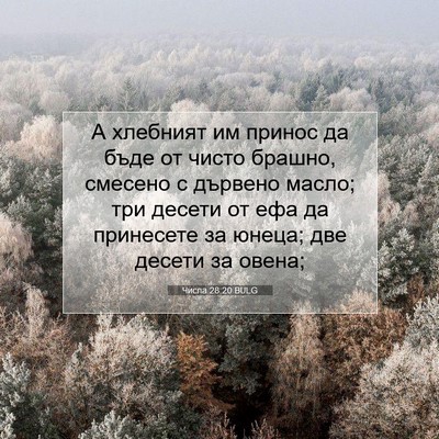 Picture 07 - Числа 28:20 BULG - А хлебният им принос да - Bible Verse Picture