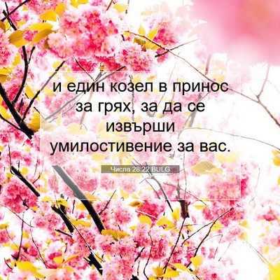 Picture 07 - Числа 28:22 BULG - и един козел в принос за - Bible Verse Picture