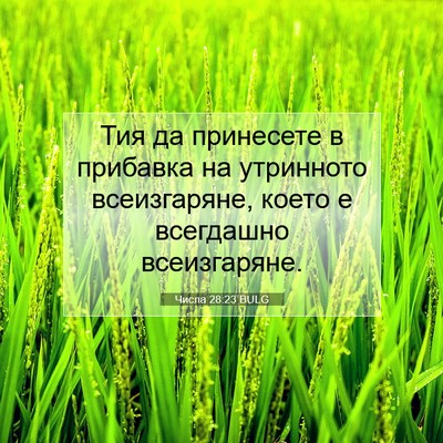 Picture 07 - Числа 28:23 BULG - Тия да принесете в - Bible Verse Picture