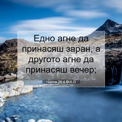 Picture 07 - Числа 28:4 BULG - Едно агне да принасяш - Bible Verse Picture
