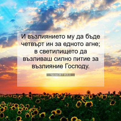 Picture 07 - Числа 28:7 BULG - И възлиянието му да бъде - Bible Verse Picture