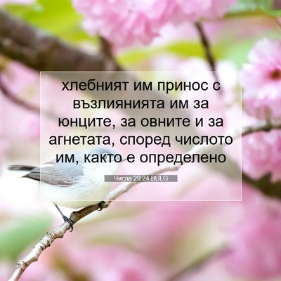 Picture 07 - Числа 29:24 BULG - хлебният им принос с - Bible Verse Picture