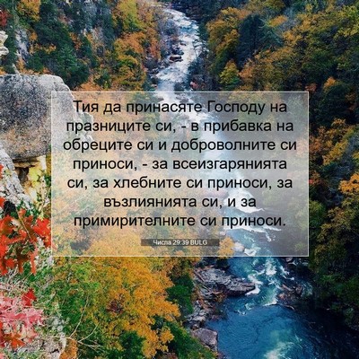 Picture 07 - Числа 29:39 BULG - Тия да принасяте Господу - Bible Verse Picture