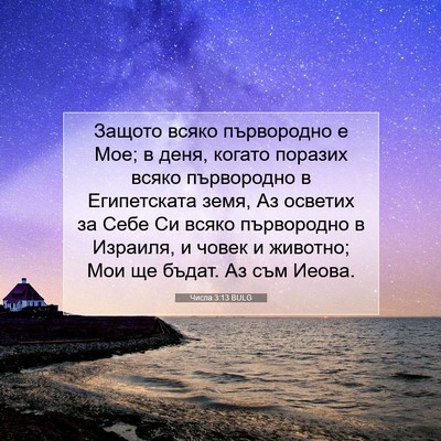 Picture 07 - Числа 3:13 BULG - Защото всяко първородно е - Bible Verse Picture