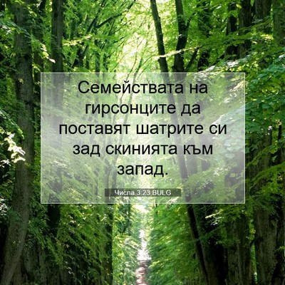 Picture 07 - Числа 3:23 BULG - Семействата на гирсонците - Bible Verse Picture
