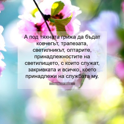 Picture 07 - Числа 3:31 BULG - А под тяхната грижа да - Bible Verse Picture