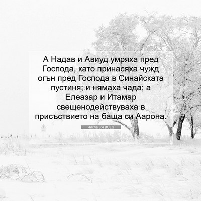 Picture 07 - Числа 3:4 BULG - А Надав и Авиуд умряха пред - Bible Verse Picture