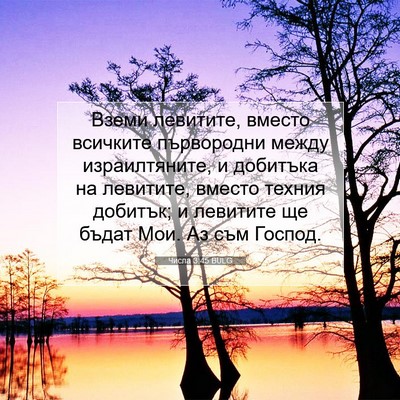 Picture 07 - Числа 3:45 BULG - Вземи левитите, вместо - Bible Verse Picture
