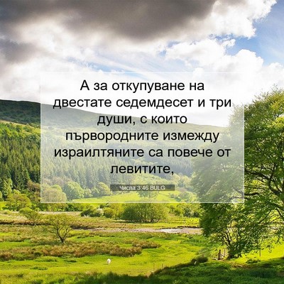 Picture 07 - Числа 3:46 BULG - А за откупуване на - Bible Verse Picture