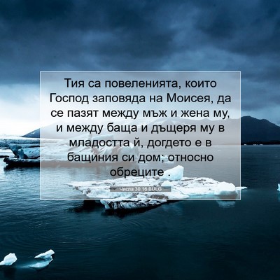 Picture 07 - Числа 30:16 BULG - Тия са повеленията, които - Bible Verse Picture