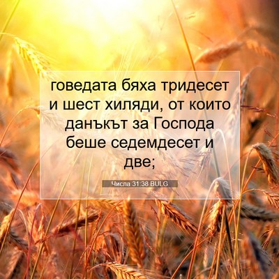 Picture 07 - Числа 31:38 BULG - говедата бяха тридесет и - Bible Verse Picture