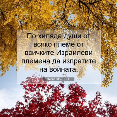 Picture 07 - Числа 31:4 BULG - По хиляда души от всяко - Bible Verse Picture