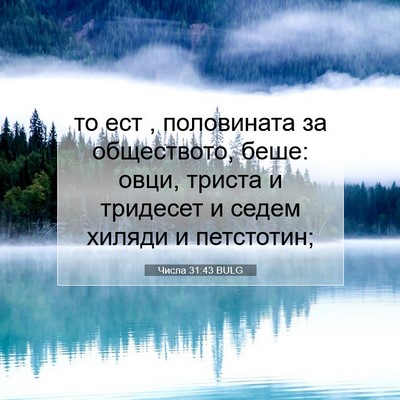 Picture 07 - Числа 31:43 BULG - то ест , половината за - Bible Verse Picture