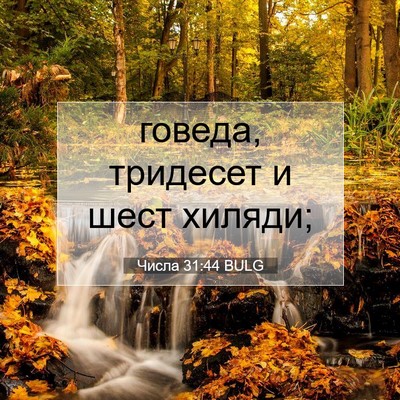 Picture 07 - Числа 31:44 BULG - говеда, тридесет и шест - Bible Verse Picture