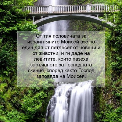 Picture 07 - Числа 31:47 BULG - От тия половината за - Bible Verse Picture