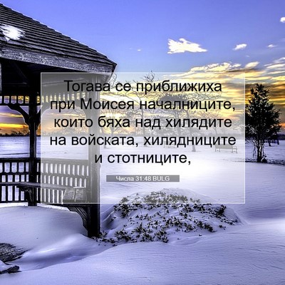 Picture 07 - Числа 31:48 BULG - Тогава се приближиха при - Bible Verse Picture