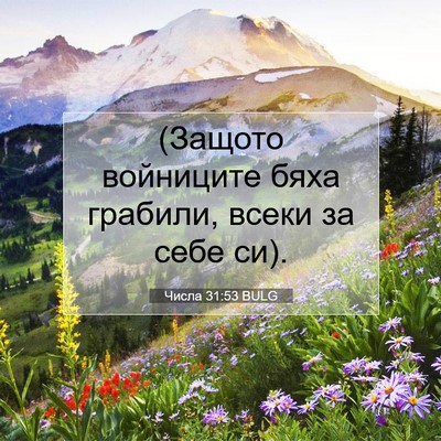 Picture 07 - Числа 31:53 BULG - (Защото войниците бяха - Bible Verse Picture