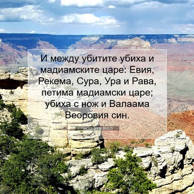 Picture 07 - Числа 31:8 BULG - И между убитите убиха и - Bible Verse Picture