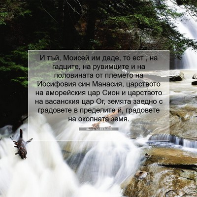 Picture 07 - Числа 32:33 BULG - И тъй, Моисей им даде, то - Bible Verse Picture