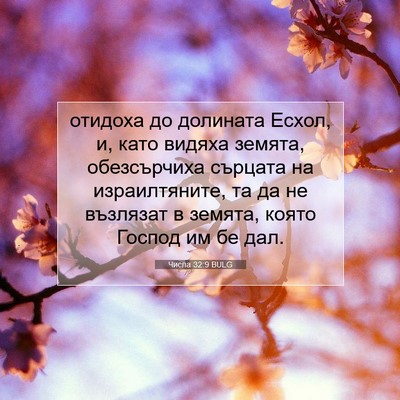 Picture 07 - Числа 32:9 BULG - отидоха до долината Есхол, - Bible Verse Picture